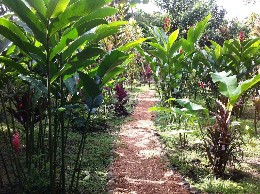 Finca Verde Lodge Bijagua Exteriör bild