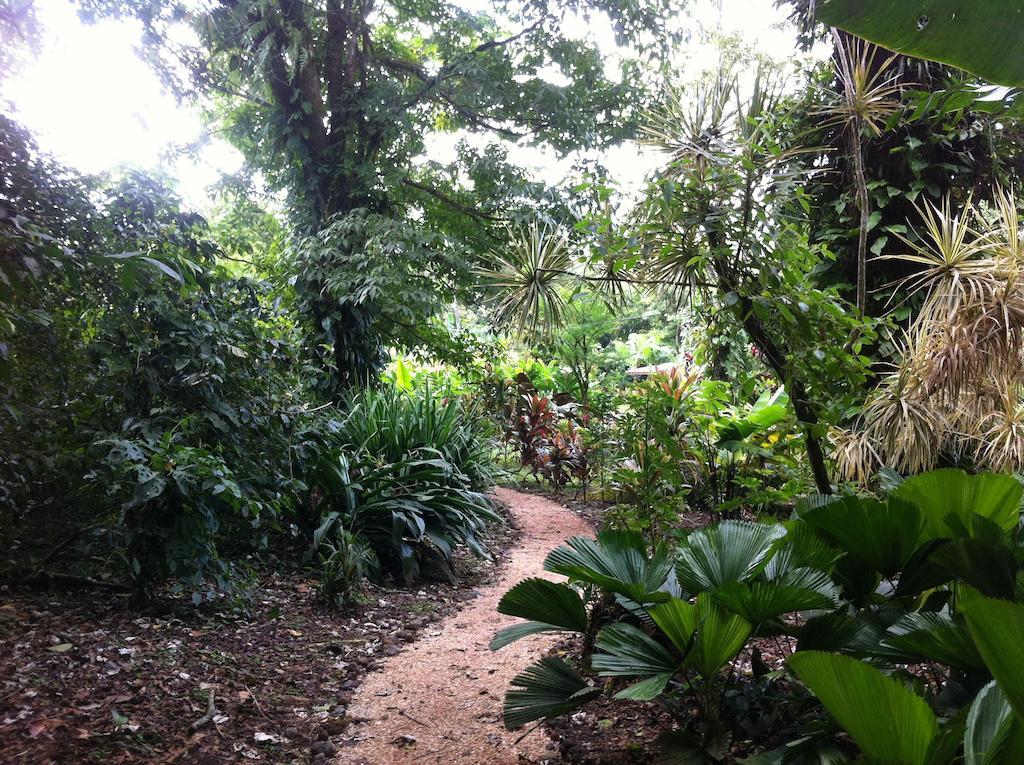Finca Verde Lodge Bijagua Exteriör bild