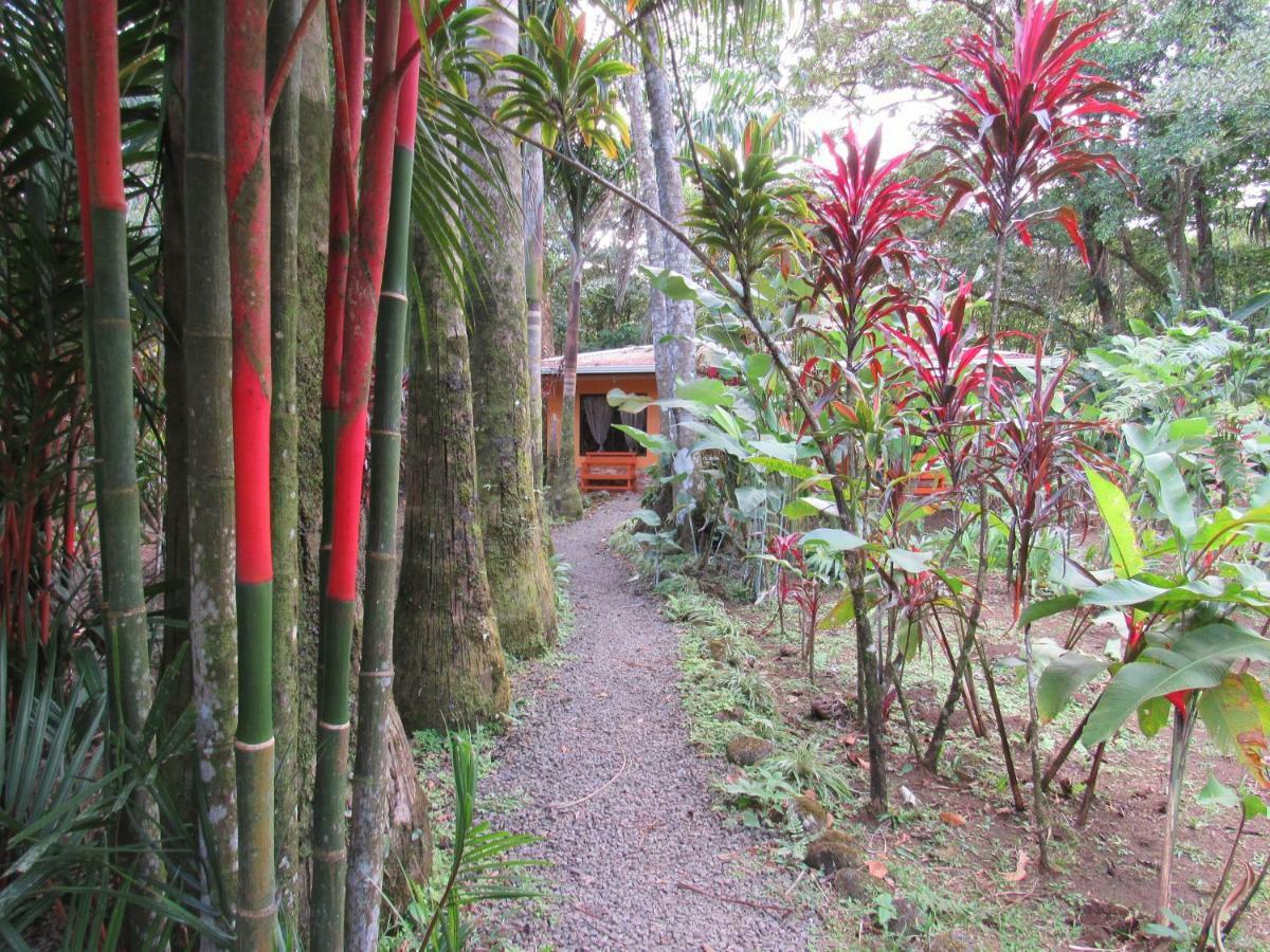 Finca Verde Lodge Bijagua Exteriör bild