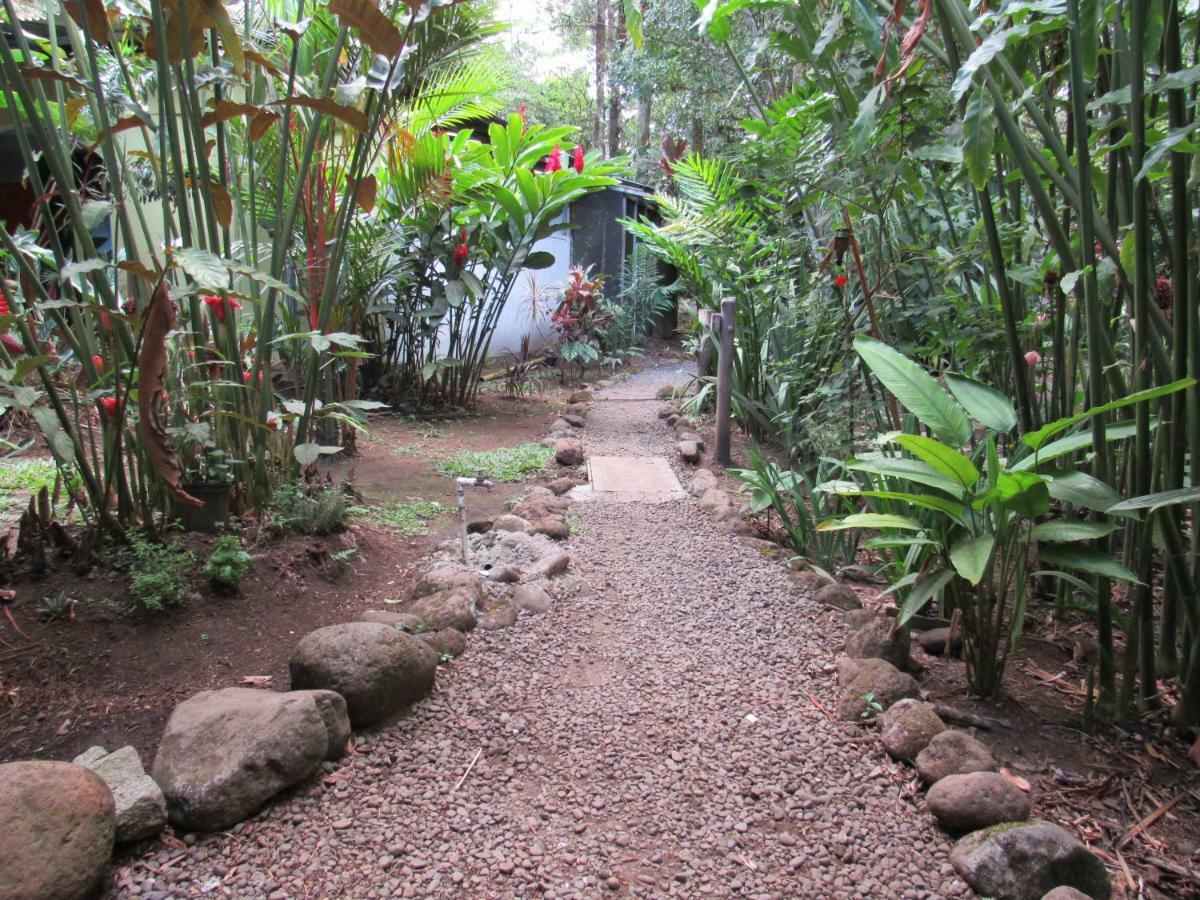 Finca Verde Lodge Bijagua Exteriör bild