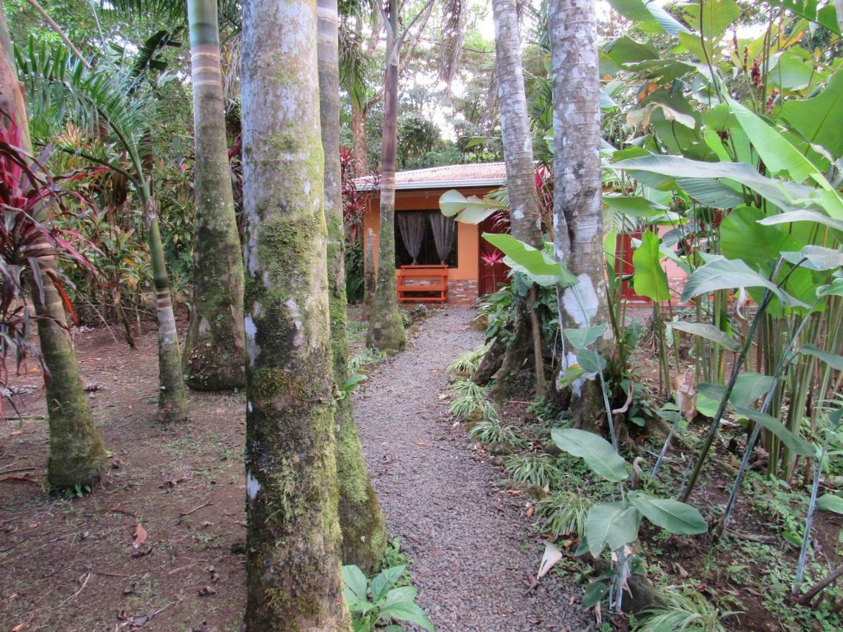 Finca Verde Lodge Bijagua Exteriör bild