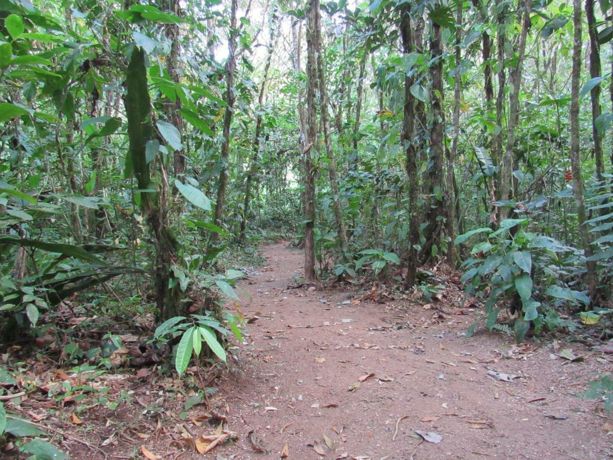 Finca Verde Lodge Bijagua Exteriör bild